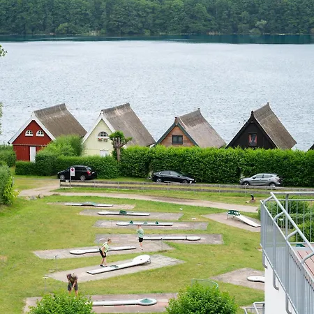 Schneeeule 218 * Granzow